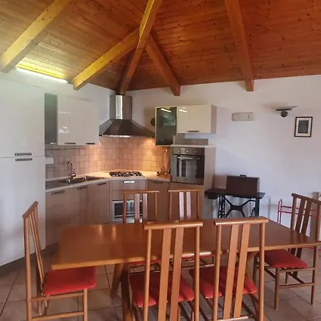 Primavera סניגליה