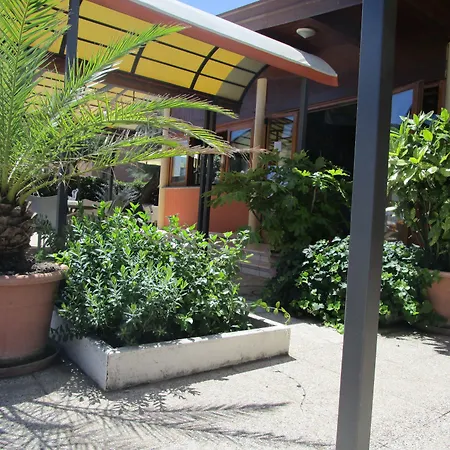 Primavera 2* סניגליה