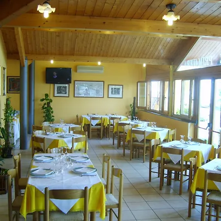 Primavera 2* סניגליה